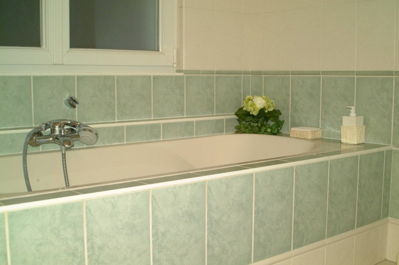 Location de vacances - Appartement à Lingolsheim - C