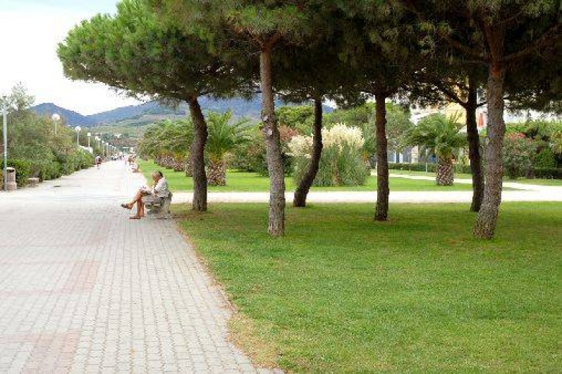 Location de vacances - Appartement à Argelès-sur-Mer - La promendae