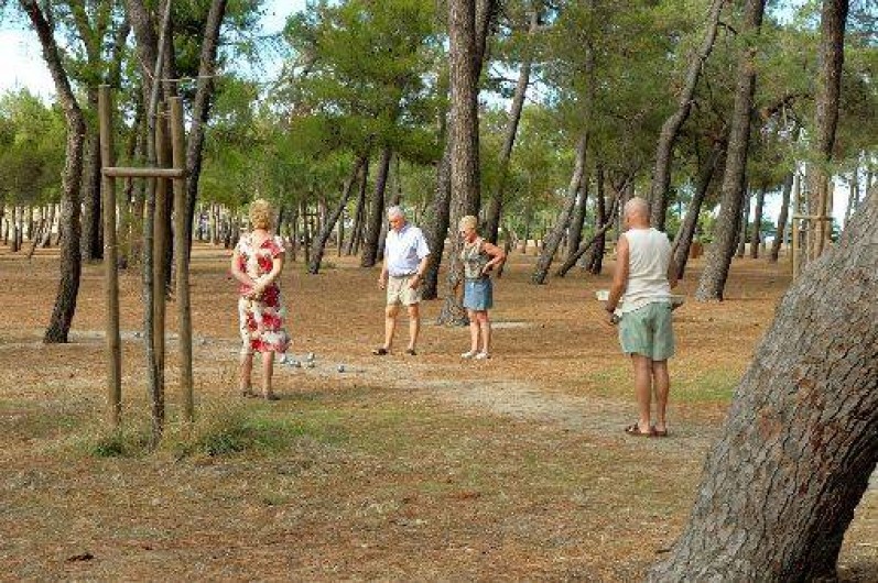 Location de vacances - Appartement à Argelès-sur-Mer - Le bois des pins