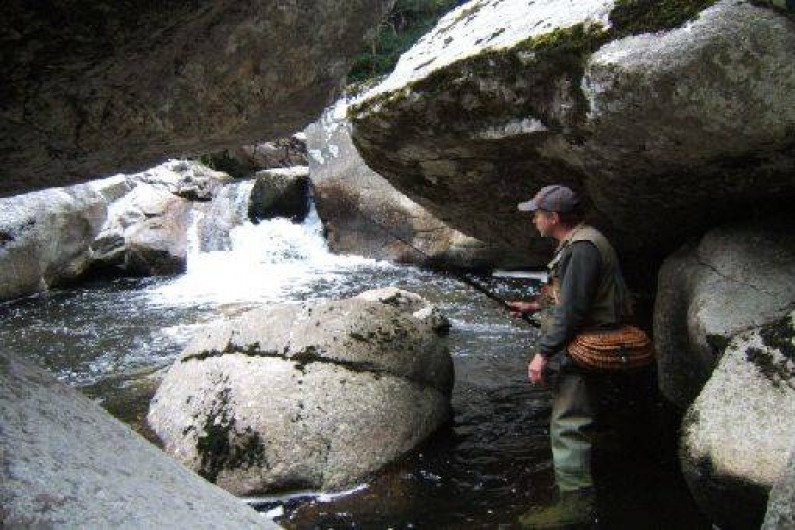 Location de vacances - Gîte à Lavastrie