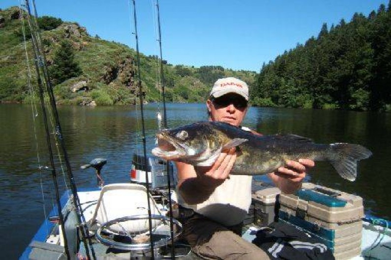 Location de vacances - Gîte à Lavastrie