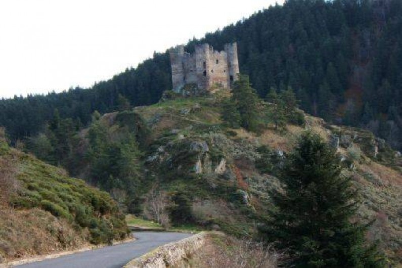 Location de vacances - Gîte à Lavastrie