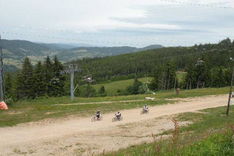 Location de vacances - Appartement à Orbey