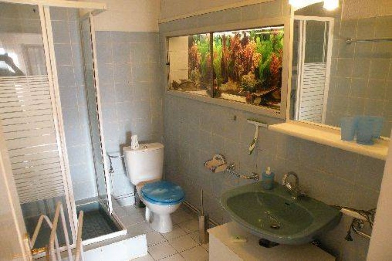 Location de vacances - Appartement à Orbey