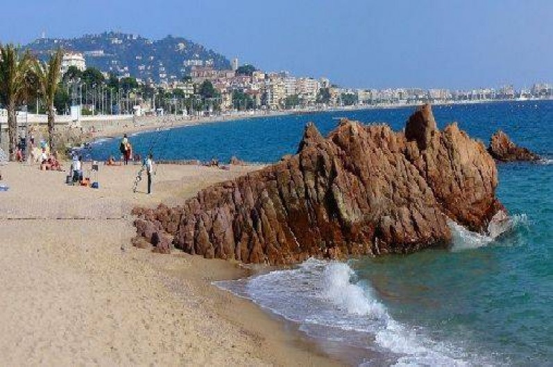 Location de vacances - Appartement à Cannes