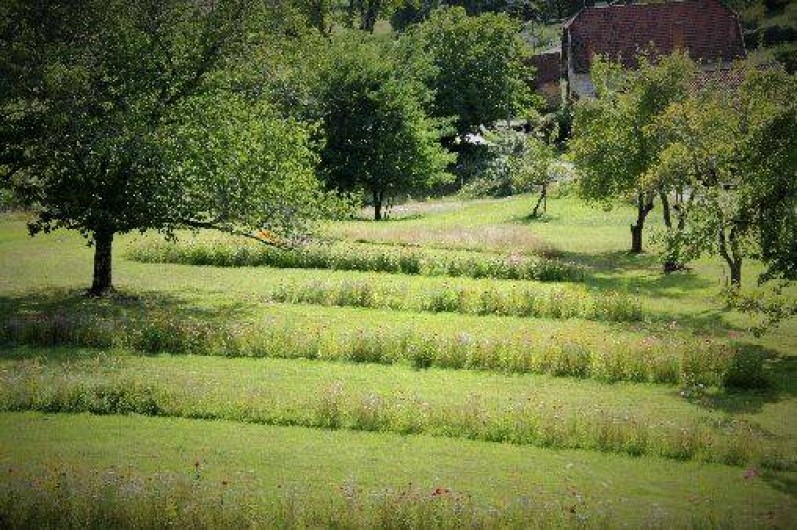 Location de vacances - Gîte à Saint-Pierre-Toirac