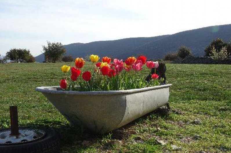Location de vacances - Gîte à Banon