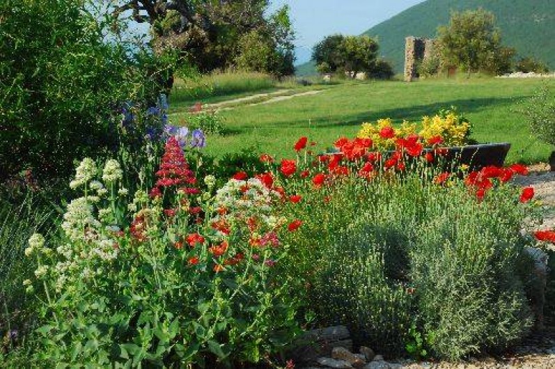 Location de vacances - Gîte à Banon