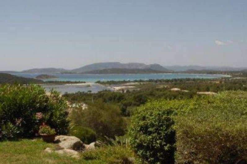 Location de vacances - Appartement à Porto-Vecchio