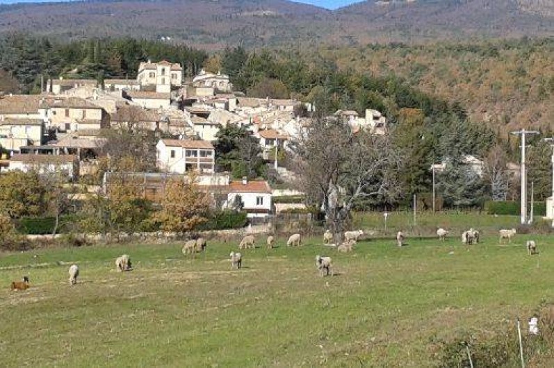 Location de vacances - Camping à Mallefougasse-Augès