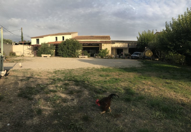 Location de vacances - Gîte à Montfrin