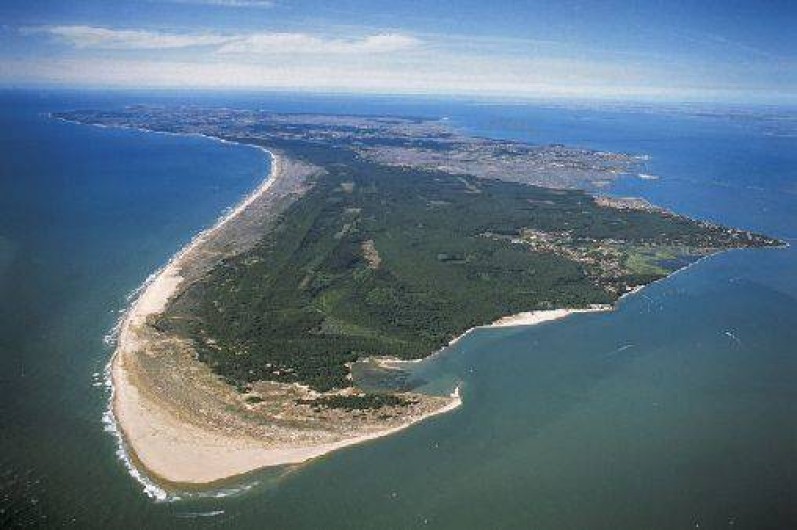 Location de vacances - Villa à Saint-Pierre-d'Oléron