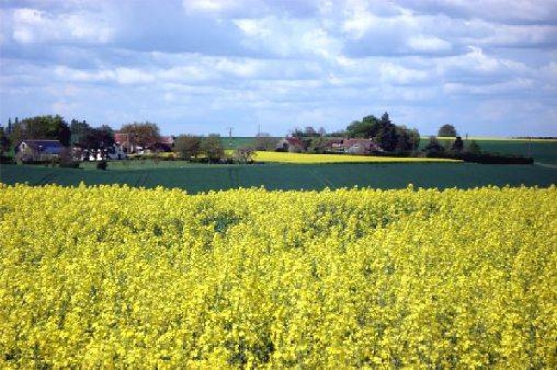 Location de vacances - Gîte à Villeloin-Coulangé