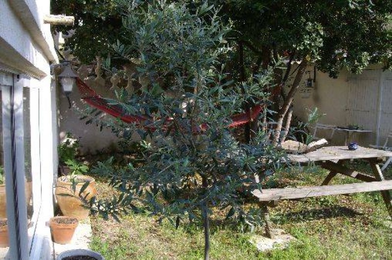 Location de vacances - Appartement à Toulon