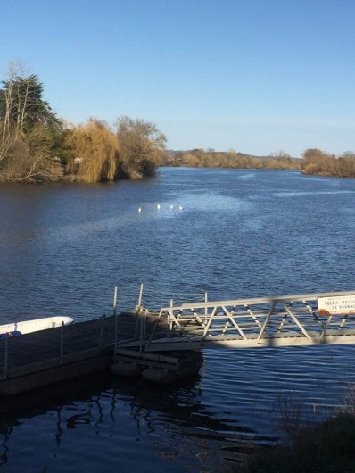 Location de vacances - Gîte à Vignonet