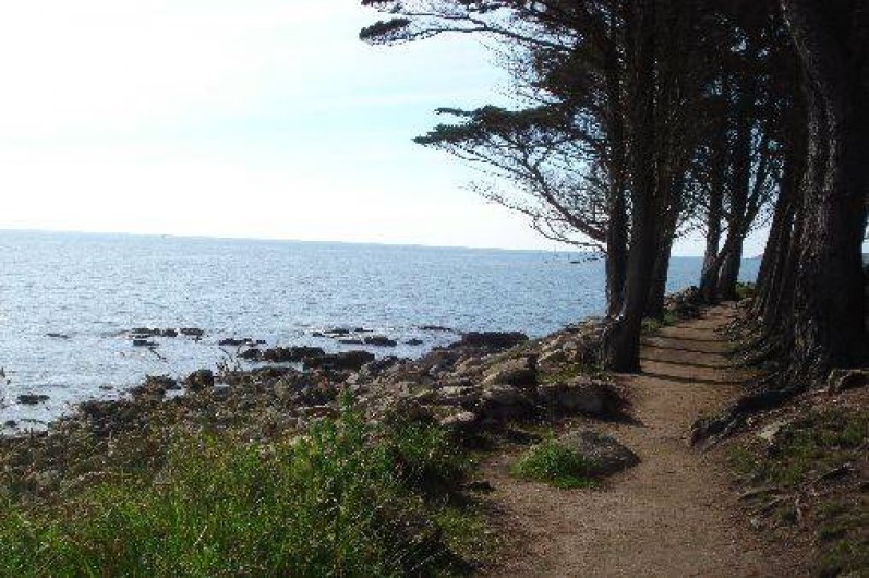 Location de vacances - Villa à Trédrez-Locquémeau