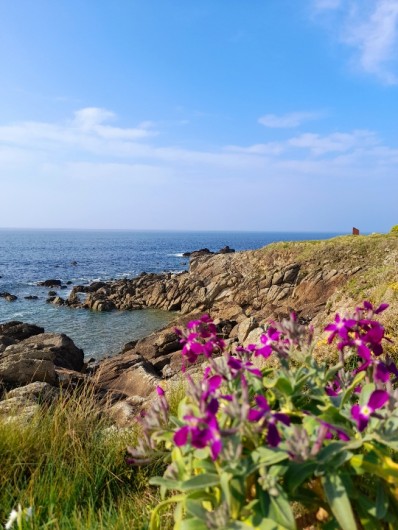 Location de vacances - Maison - Villa à Plozévet
