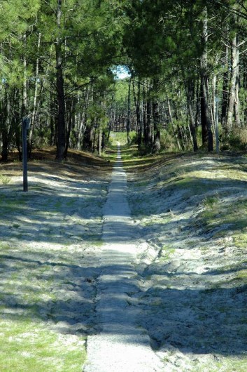 Location de vacances - Maison - Villa à Hourtin - Cottages Hourtin*** piste cyclable