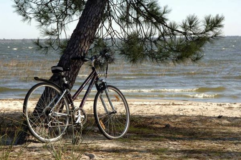 Location de vacances - Maison - Villa à Hourtin - Cottages Hourtin*** Lac d'Hourtin