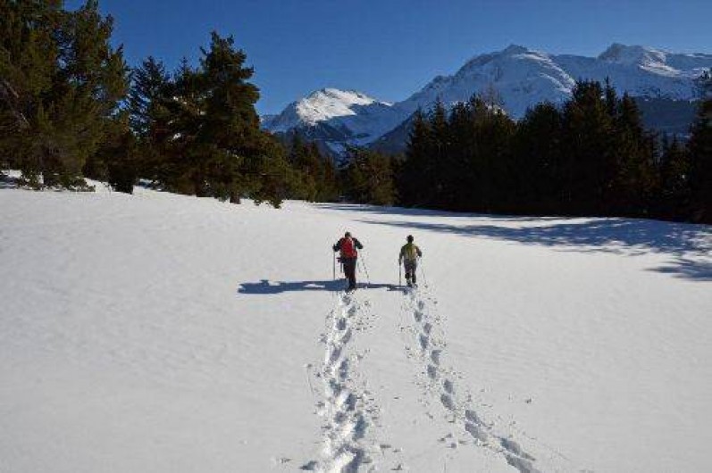 Location de vacances - Gîte à Sollières-Sardières