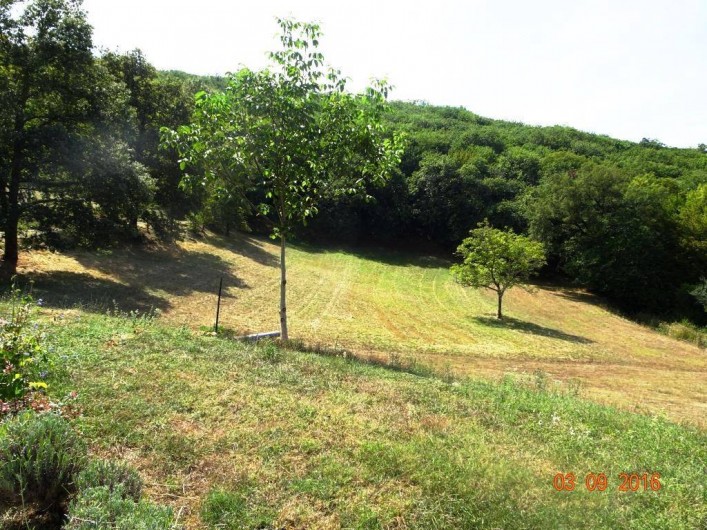 Location de vacances - Mas à Peyzac-le-Moustier