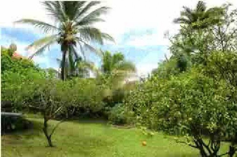 Location de vacances - Appartement à Fort-de-France