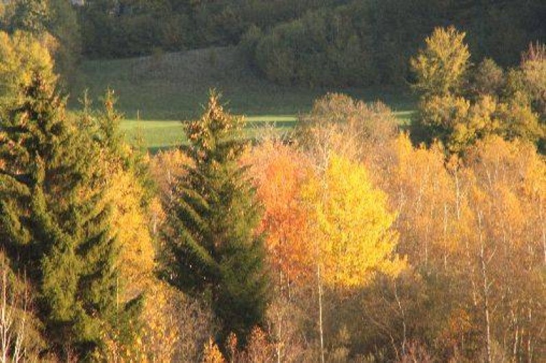 Location de vacances - Gîte à Fort-du-Plasne