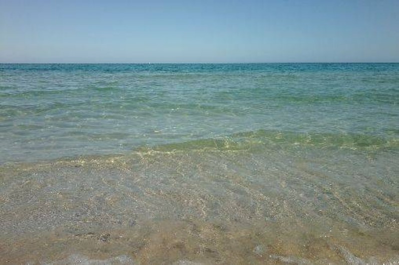 Location de vacances - Villa à Serra-Di-Fiumorbo