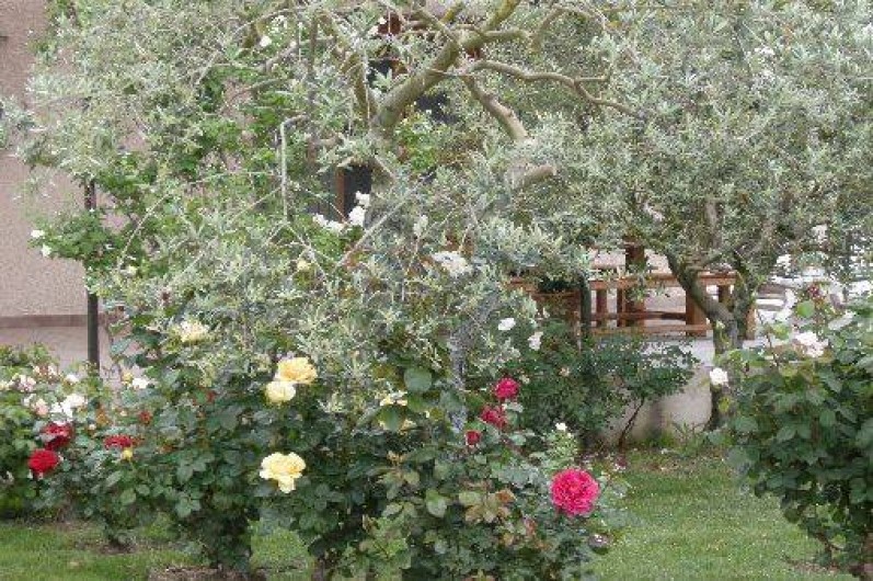 Location de vacances - Gîte à Pernes-les-Fontaines