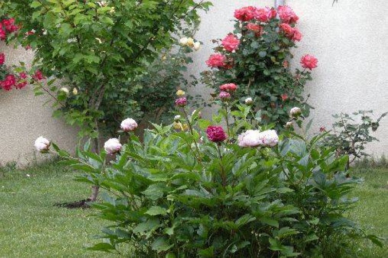 Location de vacances - Gîte à Pernes-les-Fontaines