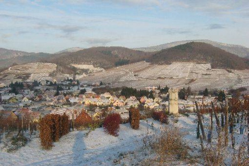 Location de vacances - Gîte à Andlau