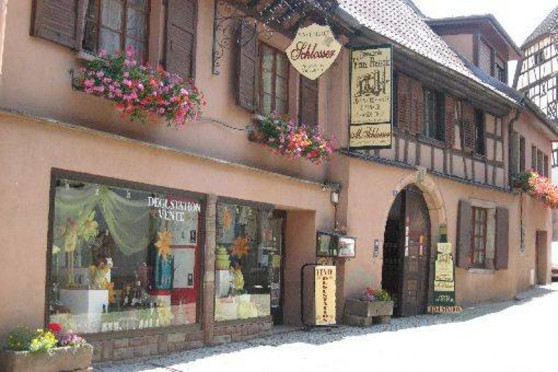 Location de vacances - Gîte à Andlau