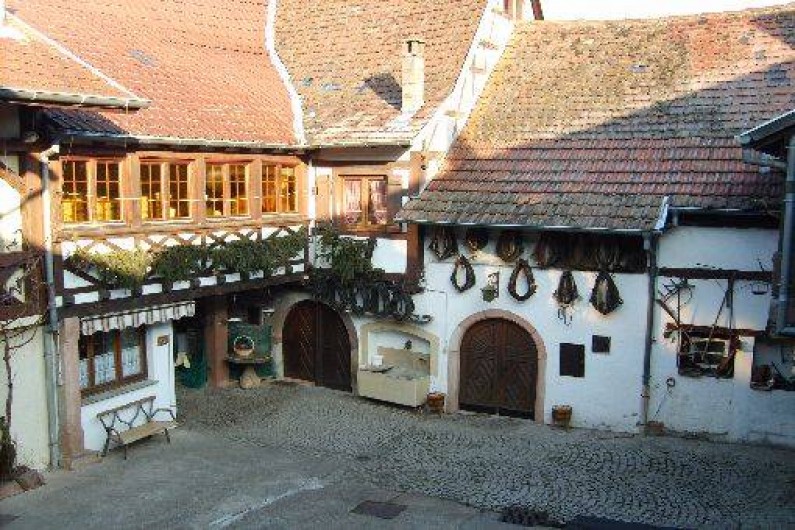 Location de vacances - Gîte à Andlau