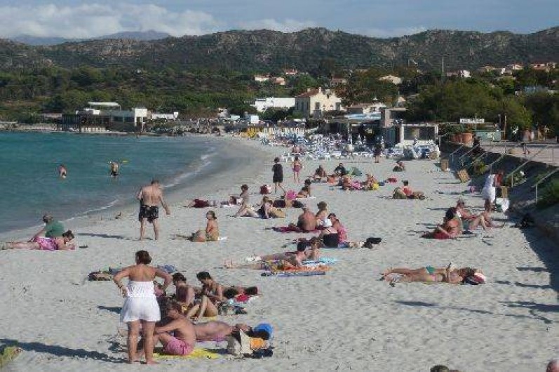 Location de vacances - Appartement à L'Île-Rousse