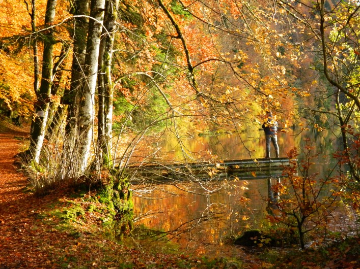 Location de vacances - Gîte à Baume-les-Messieurs - Lac de BONLIEU : randonnées en automne.