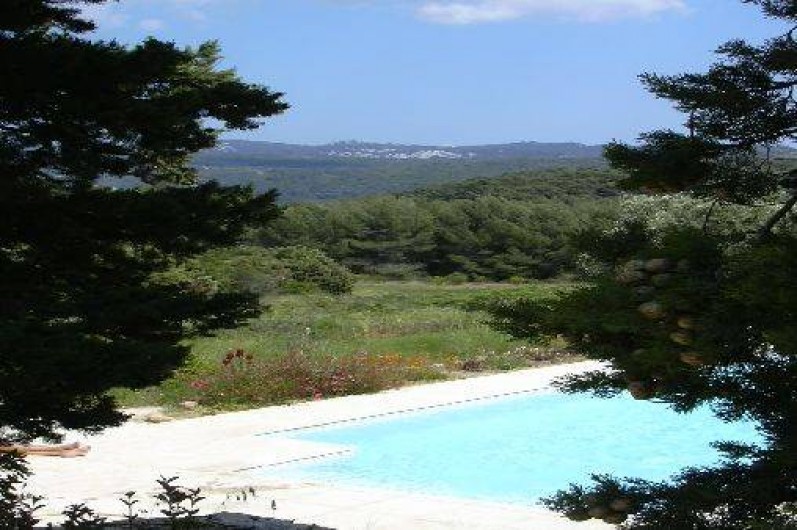 Location de vacances - Gîte à Le Beausset - une piscine au milieu de la nature....et les collines au loin
