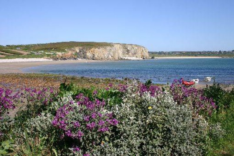 Location de vacances - Chambre d'hôtes à Camaret-sur-Mer