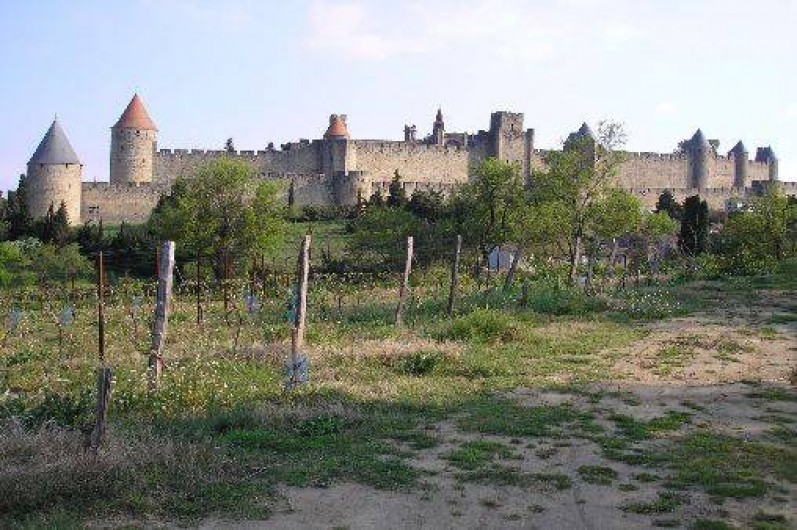 Location de vacances - Camping à Carlipa