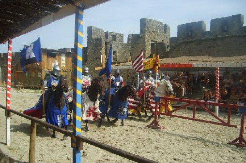 Location de vacances - Camping à Carlipa