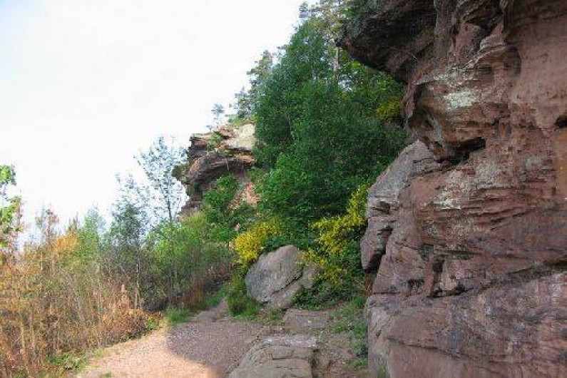 Location de vacances - Gîte à Dabo