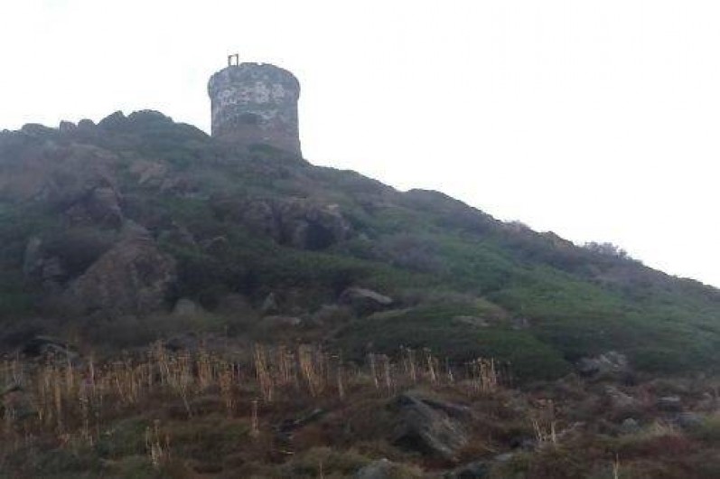 Location de vacances - Villa à Propriano