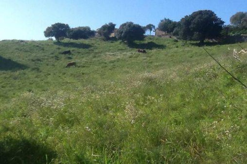 Location de vacances - Villa à Propriano