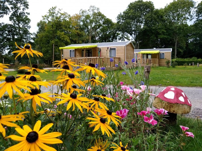 Location de vacances - Bungalow - Mobilhome à Priziac - mobilhomes 2 à 4 chambres camping le lac o fees camping nature