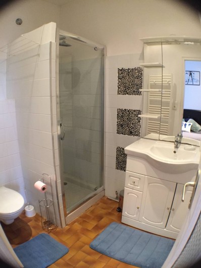 Location de vacances - Villa à Aix-les-Bains - La salle de bain douche wc du RDC 1
