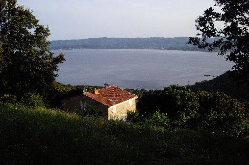 Location de vacances - Appartement à Belvédère-Campomoro