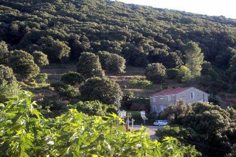 Location de vacances - Appartement à Belvédère-Campomoro