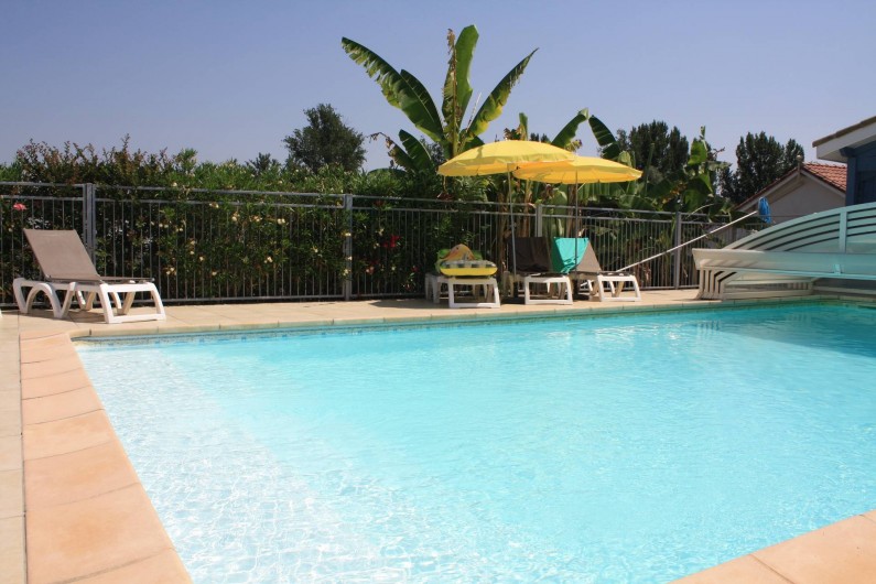 Location de vacances - Gîte à Lafrançaise - Autour de votre piscine végétation, fleurs.
