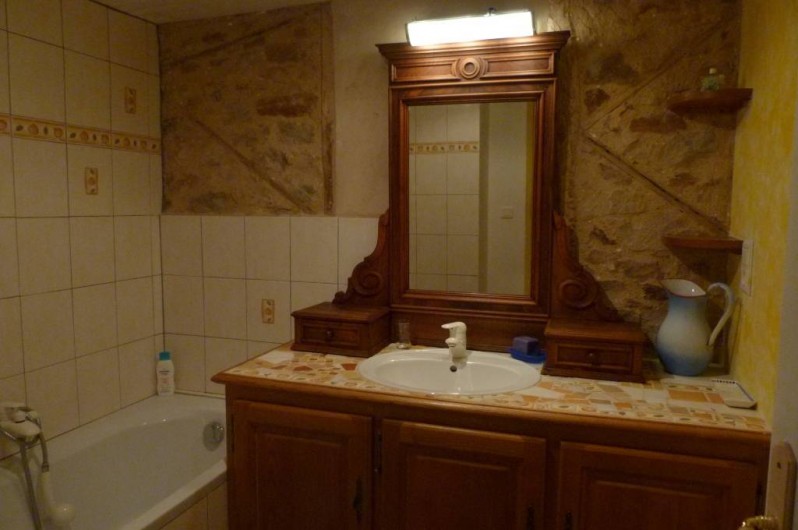 Location de vacances - Gîte à Viala-du-Tarn