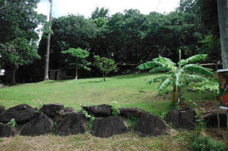 Location de vacances - Bungalow - Mobilhome à Bouillante