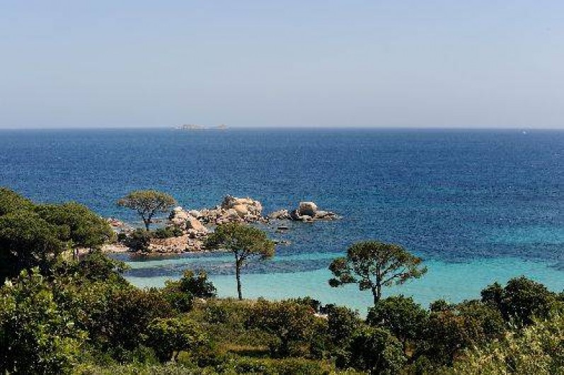 Location de vacances - Maison - Villa à Porto-Vecchio